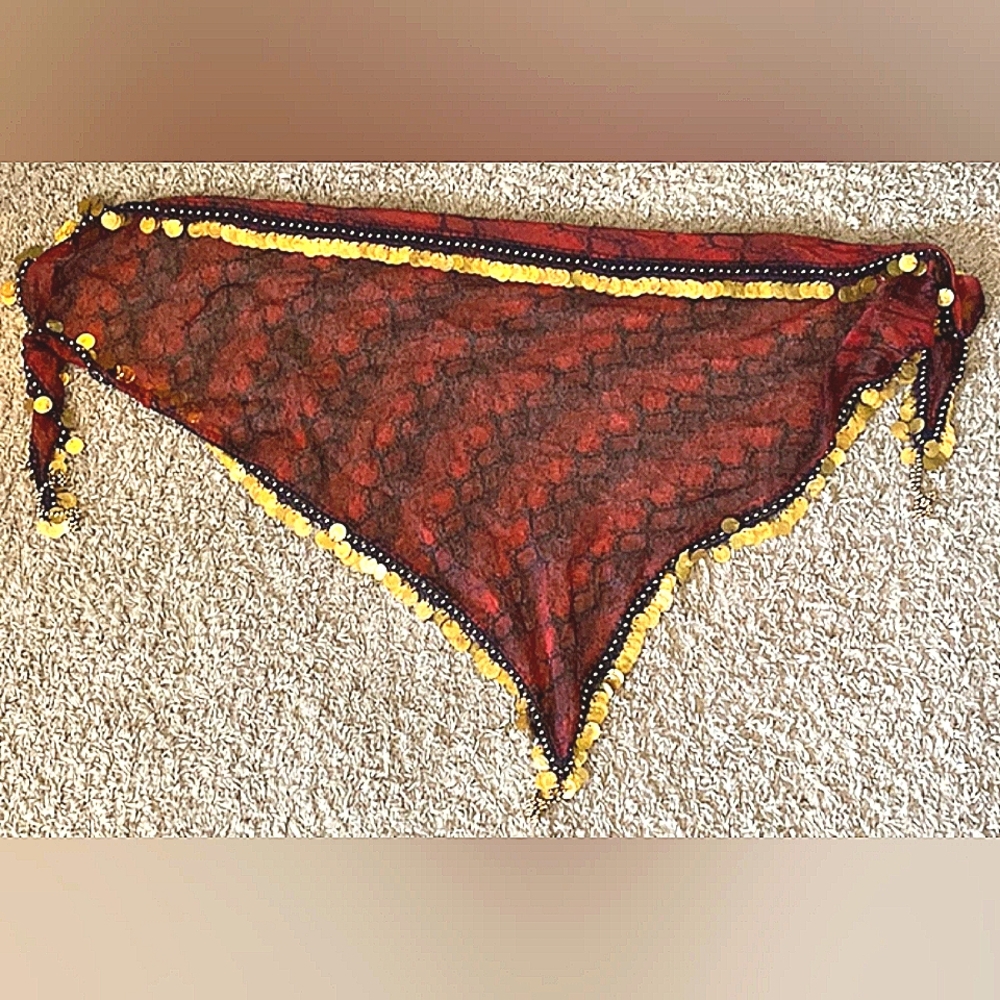 Professional weight belly dancing Hezzam snake print coin belt skirt overlay
